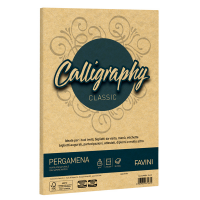 Carta Calligraphy pergamena - A4 - 190 gr - oro 03 - conf. 50 fogli - Favini - A69W084 - 8007057671674 - DMwebShop