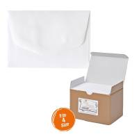 Scatola 100 buste bianche - Bristol - 75 x 112 mm - Rex Sadoch - 8204 - 8004999820405 - DMwebShop