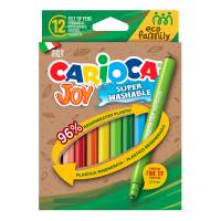 Pennarelli Joy Eco Family - lavabili - colori assortiti - scatola 12 pezzi - Carioca - 43100 - 8003511431006 - DMwebShop