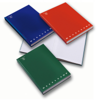 Maxi Quaderno Monocromo - Cartonato - A5 - Quadretti 5 mm - 80 gr - 60+2 Fogli - Colori Assortiti - Pigna - 00716735M - 8005235155862 - DMwebShop