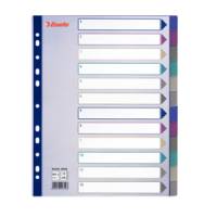 Separatore - 12 tasti - PP traslucido - A4 maxi - 24,5 x 29,7 cm - multicolore - Esselte - 20649 - 5024942206493 - DMwebShop