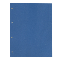 Separatori cartoncino Manilla - 200 gr - 22 x 30 cm - azzurro - conf. 200 pezzi - Cart. Garda - CG0810MLXXXAL06 - 8001182012746 - DMwebShop
