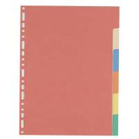 Separatore - 6 tacche - cartoncino colorato 240 gr - 21 x 29,7 cm - multicolore - Favorit - 100204883 - 8006779199305 - DMwebShop