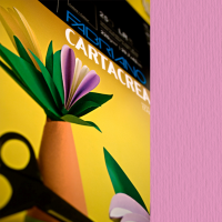 Cartoncino CartaCrea - 35 x 50 cm - 220 gr - fucsia - blister 10 fogli - Fabriano - 46435123 - 8001348127758 - DMwebShop