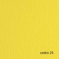 Cartoncino Elle Erre - 70 x 100 cm - 220 gr - cedro 125 - blister 10 fogli - Fabriano - 46470125 - 8001348121923 - DMwebShop