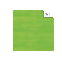 Carta velina - 50 x 70 cm - 20 gr - verde chiaro 371 - busta 26 fogli - Rex Sadoch - KV106371 - 4005063106139 - DMwebShop