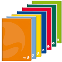MaxiQuaderno Color 80 - A4 - quadretto 4 mm - 96 fogli - 80 gr - cartonato - Colori Assortiti - BM - 0105363 - 8008234053634 - DMwebShop