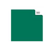 Carta velina 50 x 70 cm 20 gr verde 560 busta 26 fogli - 9713