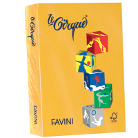 Carta Le Cirque - A4 - 160 gr - giallo oro 201 - conf. 250 fogli - Favini - A74H304 - 8025478320773 - DMwebShop