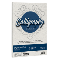Carta Calligraphy Pergamena - A4 - 90 gr - bianco 01 - conf. 50 fogli - Favini - A690204 - 8007057672008 - DMwebShop