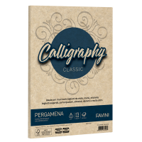 Carta Calligraphy Pergamena - A4 - 90 gr - nocciola 04 - conf. 50 fogli - Favini - A69N204 - 8007057672039 - DMwebShop