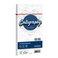 Busta Calligraphy Pergamena - 110 x 220 mm - 90 gr - bianco 01 - conf. 25 pezzi A5 - 70293 - Favini - A570293 - 8007057741193 - DMwebShop