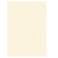 Diplomi in pergamena - stampa offset - A3 - 160 gr - neutro avorio - conf. 10 pezzi - Kartos - OD14618200S10 - 8009162305376 - DMwebShop