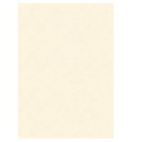 Diplomi in pergamena - stampa offset - A3 - 160 gr - neutro avorio - conf. 10 pezzi - Kartos - OD14618200S10 - 8009162305376 - DMwebShop