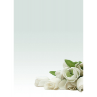 Carta con stampa 'rosa bianca' - A4 - 90 gr - conf. 20 fogli - Decadry - T036126 - 8410782121268 - DMwebShop