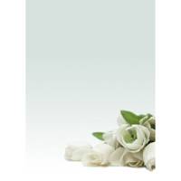 Carta con stampa rosa bianca A4 - 90 gr confezione 20 fogli - 10198