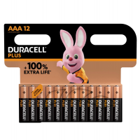 Blister 12 pile MiniStilo AAA - Plus 100 - Duracell DU0221