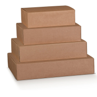 Scatola box per asporto linea Boite - 40 x 32 x 12 cm - avana - conf. 10 pezzi - Scotton - 38675C - 91083A - DMwebShop