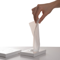 Sacchetti igienici in HDPE - 11 x 28 cm - conf. 25 pezzi - J3D001S - 8054154231348 - DMwebShop