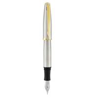 Penna stilografica Aldo Domani - punta M - fusto silver - Monteverde - J059673 - 80333596739 - DMwebShop