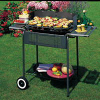 Barbecue Port Camargue - Garden Friend - B1072142 - 8023755029531 - DMwebShop