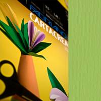 Cartoncino CartaCrea - 35 x 50 cm - 220 gr - verde pisello - blister 10 fogli - Fabriano - 46435110 - 8001348127635 - DMwebShop