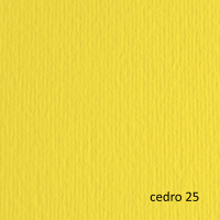 Cartoncino Elle Erre - 50 x 70 cm - 220 gr - cedro 25 - blister 20 fogli - Fabriano - 42450725 - 8001348146629 - DMwebShop