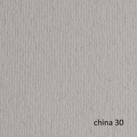 Cartoncino Elle Erre - 50 x 70 cm - 220 gr - china 30 - blister 20 fogli - Fabriano - 42450730 - DMwebShop