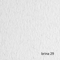 Cartoncino Elle Erre - 70 x 100 cm - 220 gr - brina 129 - blister 10 fogli - Fabriano - 46470129 - 8001348146582 - DMwebShop