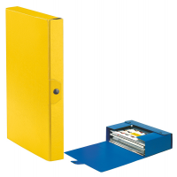 Scatola progetto Eurobox - dorso 4 cm - 25 x 35 cm - giallo - conf. 5 pezzi - Esselte - 390324090 - 8004157324097 - DMwebShop