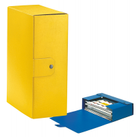 Scatola progetto Eurobox - dorso 12 cm - 25 x 35 cm - giallo - Esselte - 390332090 - 8004157332092 - DMwebShop