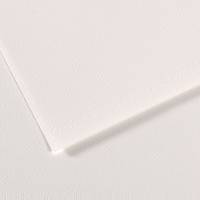 Foglio Mi-Teintes - A4 - 160 gr - bianco - conf. 25 pezzi - Canson - C31027S001 - 92868CNF01 - DMwebShop