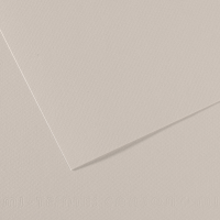 Foglio Mi-Teintes - A4 - 160 gr - grigio perla - conf. 25 pezzi - Canson - C31032S009 - 92869CNF01 - DMwebShop