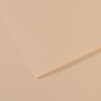 Foglio Mi-Teintes - A4 - 160 gr - conchiglia - conf. 25 pezzi - Canson - C31032S008 - 92872A - DMwebShop