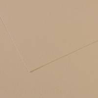 Foglio Mi-Teintes - A4 - 160 gr - grigio trianon - conf. 25 pezzi - Canson - C31032S014 - 92883A - DMwebShop