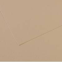 Foglio Mi-Teintes - A4 - 160 gr - grigio trianon - conf. 25 pezzi - Canson - C31032S014 - 92883A - DMwebShop