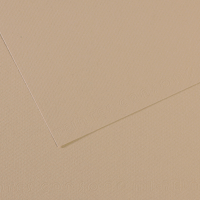 Foglio Mi-Teintes - A4 - 160 gr - grigio trianon - conf. 25 pezzi - Canson - C31032S014 - 92883A - DMwebShop