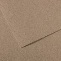 Foglio Mi-Teintes - A4 - 160 gr - grigio screziato - conf. 25 pezzi - Canson - C31033S035 - 92885CNF01 - DMwebShop