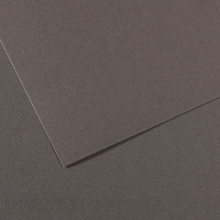 Foglio Mi-Teintes - A4 - 160 gr - grigio ardesia - conf. 25 pezzi - Canson - C31032S015 - 3148950041302 - DMwebShop