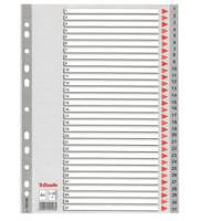 Separatore numerico 1/31 - PPL - A4 - grigio - Esselte - 100108 - 5902812001082 - DMwebShop