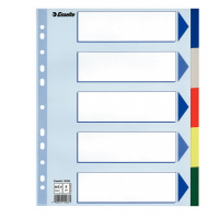 Separatore - 5 tasti colorati - PP - A4 maxi - 24,5 x 29,7 cm - multicolore - Esselte - 15266 - 5902812152661 - DMwebShop