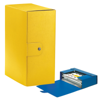 Scatola progetto Eurobox - dorso 15 cm - 25 x 35 cm - giallo - conf. 5 pezzi - Esselte - 390335090 - 8004157335093 - DMwebShop