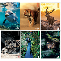 Maxiquaderno Animal fantasia - A4 - 40+2 fogli - 80 gr - quadretto 5 mm - BM  - 0110378 - 8008234103780 - DMwebShop