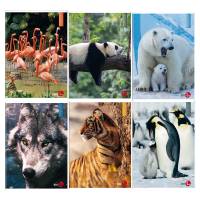 Maxiquaderno Animal fantasia - A4 - 40+2 fogli - 80 gr - 0110382 - 8008234103827 - DMwebShop