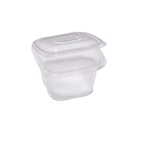 Contenitori in PP - con coperchio incernierato - 12 x 12 x 7,5 cm - pack 50 pezzi - Europack - 48401052 - 8007626780417 - DMwebShop