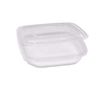 Contenitori in PP - con coperchio incernierato - 21,5 x 21,5 x 3,4 cm - pack 50 pezzi - Europack - 48431022 - 8007626780110 - DMwebShop