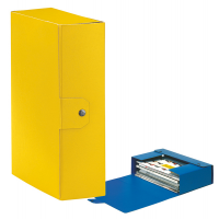 Scatola progetto Eurobox - dorso 10 cm - 25 x 35 cm - giallo - Esselte - 390330090 - 8004157330104 - DMwebShop