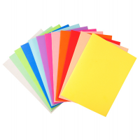 Cartelline semplici Forever - 220 gr - 24 x 32 cm - mix 10 colori - conf. 100 pezzi - Exacompta - 410000E - 3288584100003 - DMwebShop