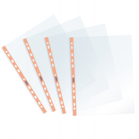 Buste forate Pastel con banda liscia - 22 x 30 cm - arancio - conf. 25 pezzi - Favorit - 400136866 - 8006779037324 - DMwebShop