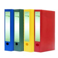 Scatola progetto Eco - 25 x 35 cm - dorso 40 mm - verde - Starline - 1310139 VERT - 8025133122537 - DMwebShop